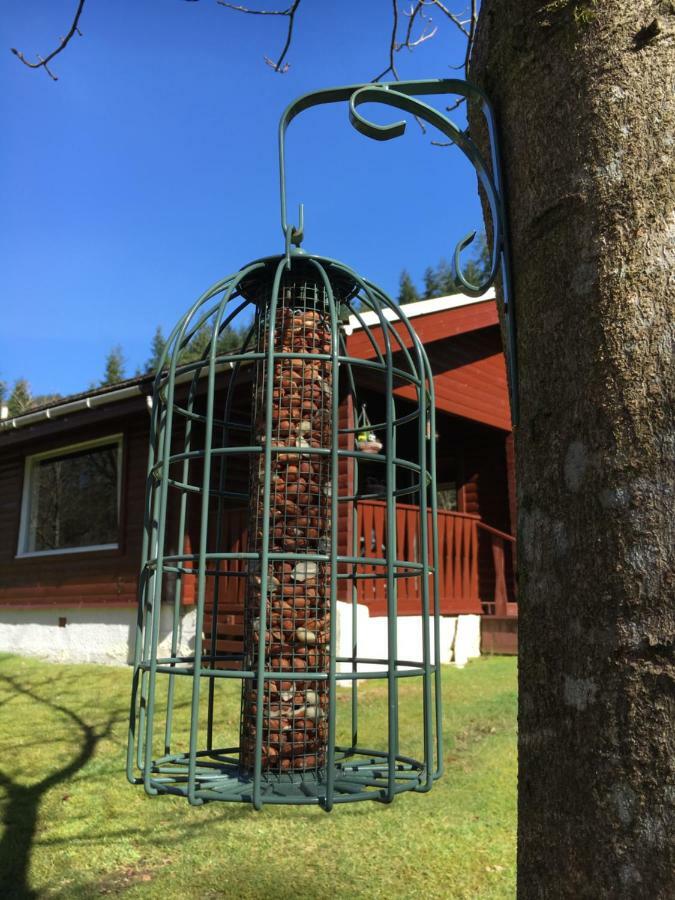 Stravaigin Lodge Dunoon Kültér fotó